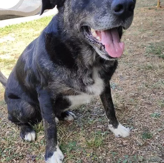 ペンション Domaine De Potofayol