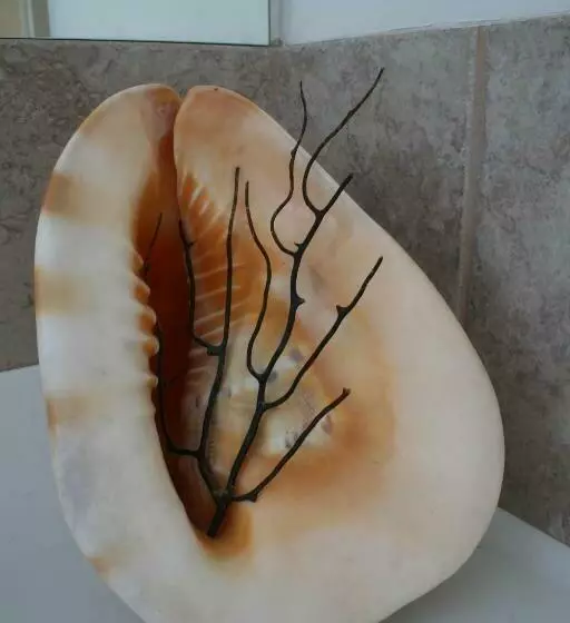 ペンション Enderslie House Bed And Breakfast