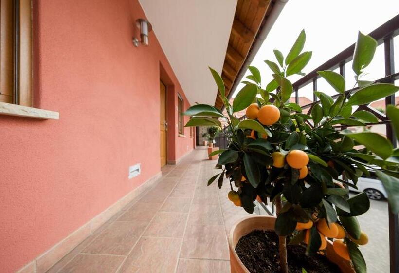 פנסיון Hofgut Metzler