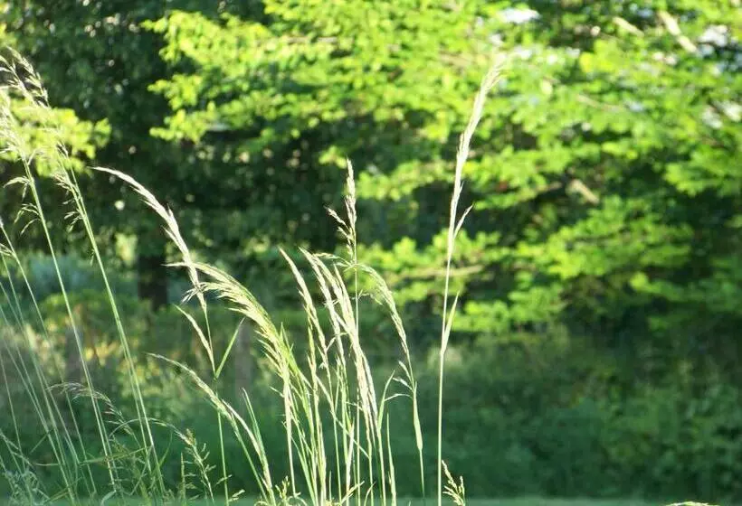 Aamiaismajoitus (B&B) Croix Blanche