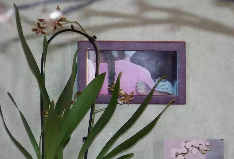 Aamiaismajoitus (B&B) Croix Blanche