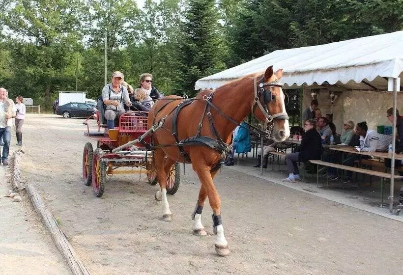 Aamiaismajoitus (B&B) Domaine De La Gaucherie