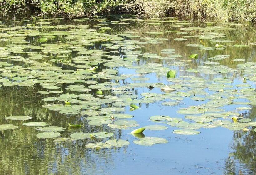 مبيت وإفطار Elément Terre