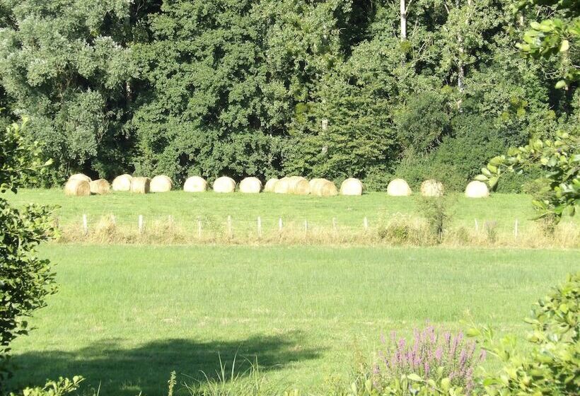 مبيت وإفطار Elément Terre