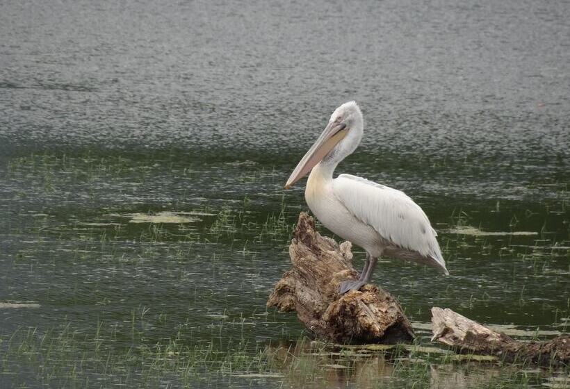 مبيت وإفطار Guestrooms Struma Dolinata