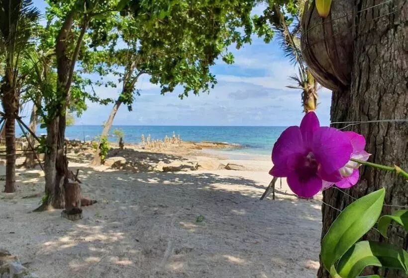 هتل Blue Bay Bungalow