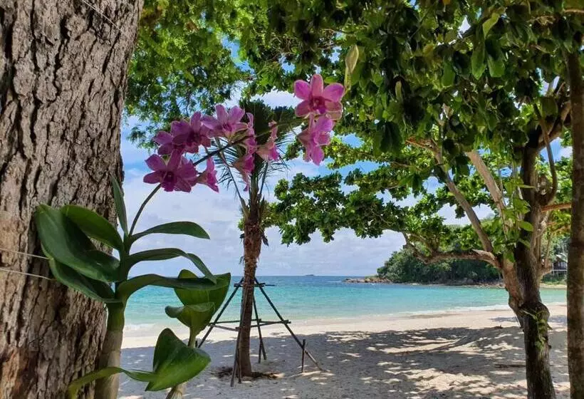 هتل Blue Bay Bungalow