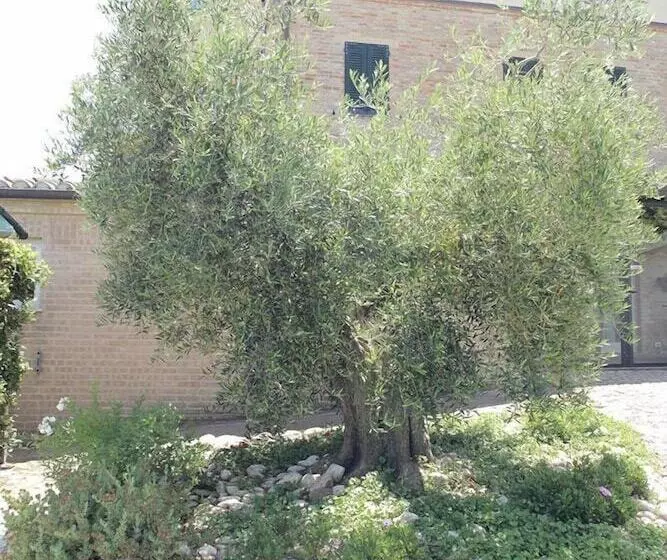 Maaseutuhotelli Agriturismo Casa Degli Archi