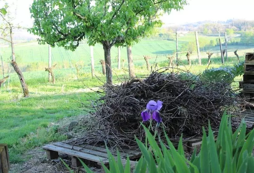 Majatalo Au Vieux Pressoir