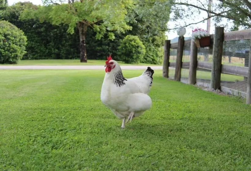 Majatalo Au Vieux Pressoir