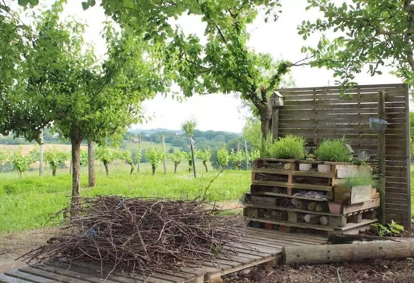 Majatalo Au Vieux Pressoir