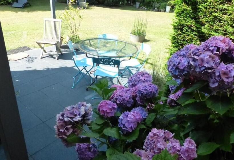 Пансион Ailes Et Iles