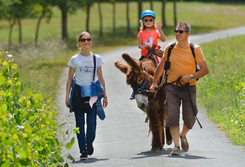بنسيون Du Coq à L'âne