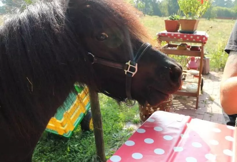 ペンション Ferienhof Zum Spreewäldchen