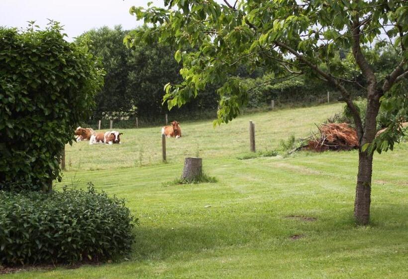 Пансион Panorama