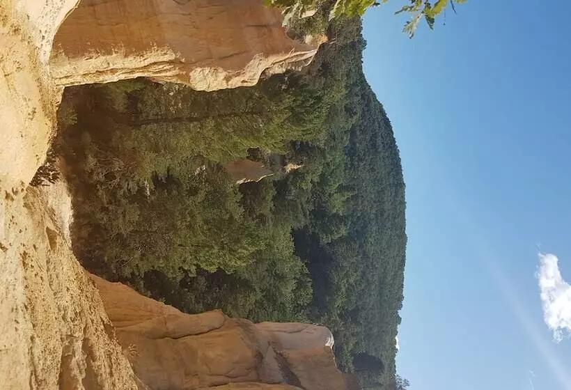 ペンション Provence Dodo