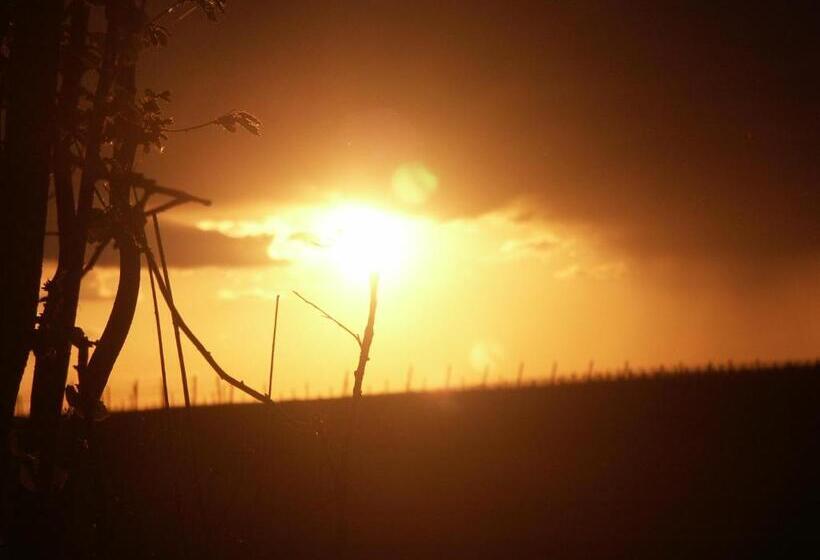 פנסיון Weingut Seck