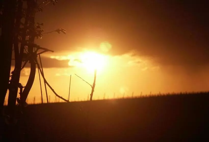 Majatalo Weingut Seck