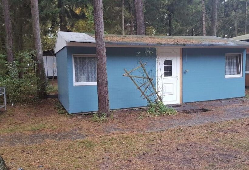 리조트 Feriensiedlung Schwalbennest