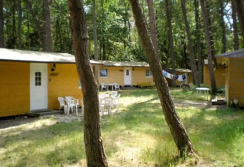 Lomakeskus Feriensiedlung Schwalbennest