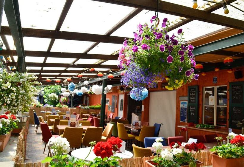 리조트 Feriensiedlung Schwalbennest