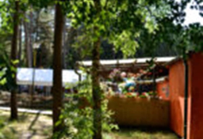 리조트 Feriensiedlung Schwalbennest