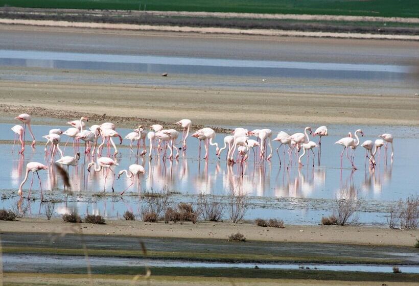 Detached Rural And Rustic House With A Private Swimming Pool