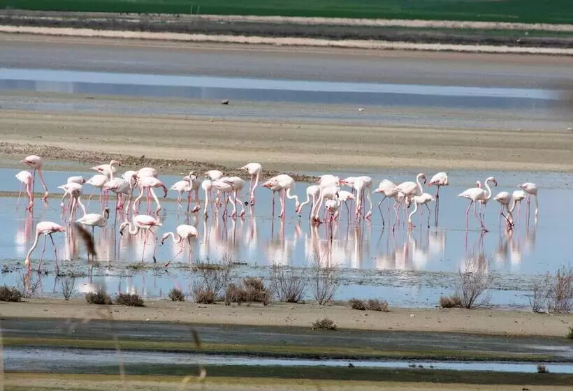 Detached Rural And Rustic House With A Private Swimming Pool