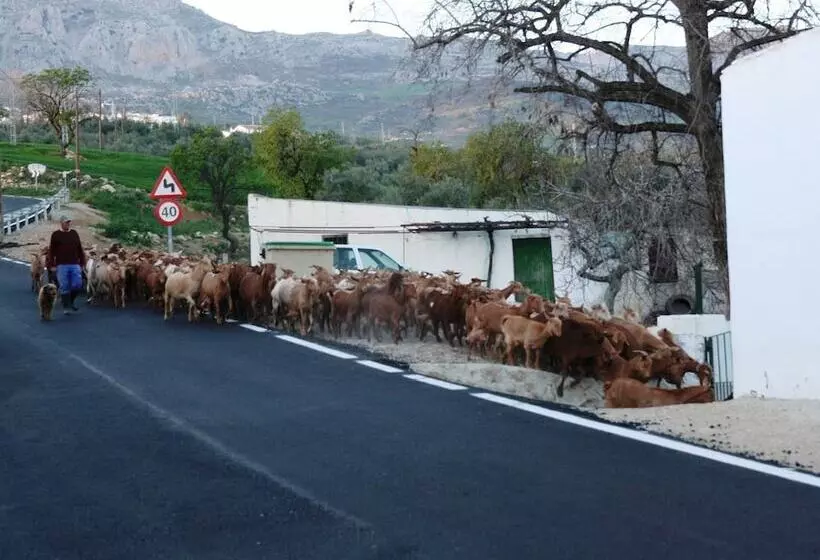 Detached Rural And Rustic House With A Private Swimming Pool