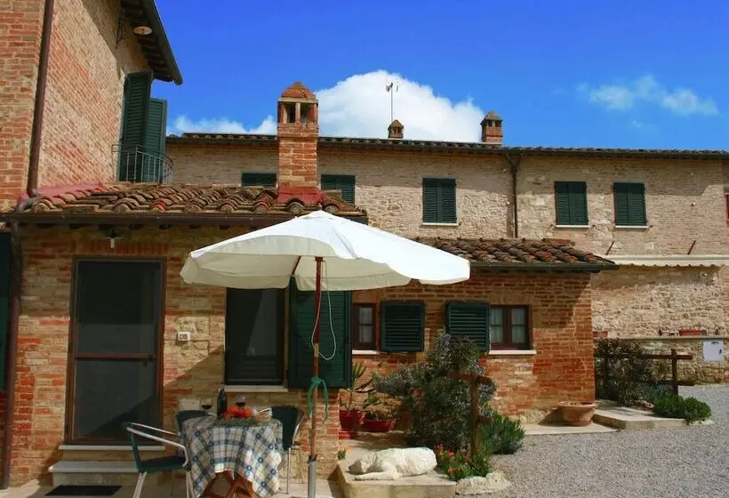 Gorgeous Cottage In Asciano With Swimming Pool