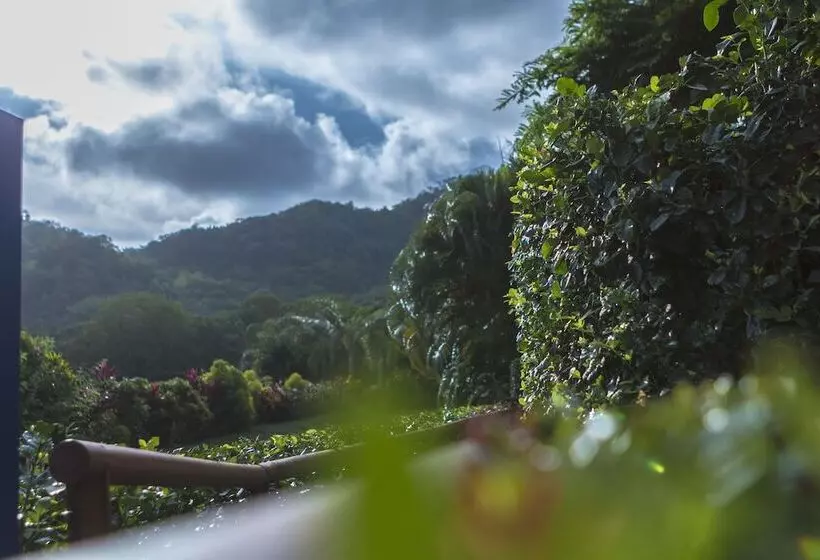 Hotelli Palma De Oro