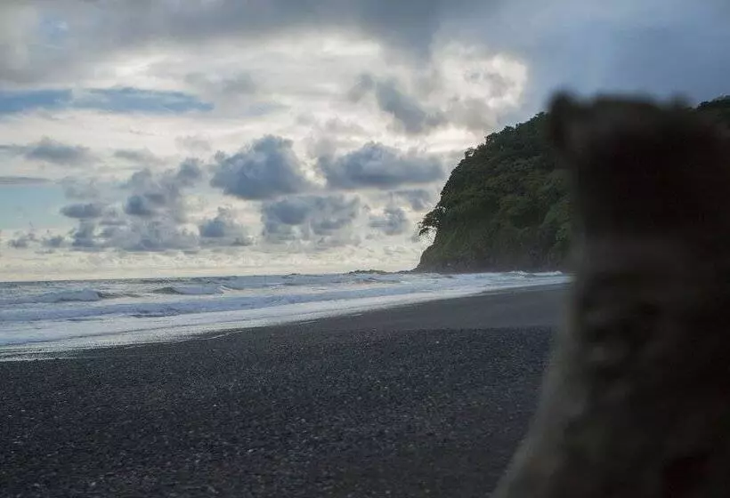 Hotelli Palma De Oro