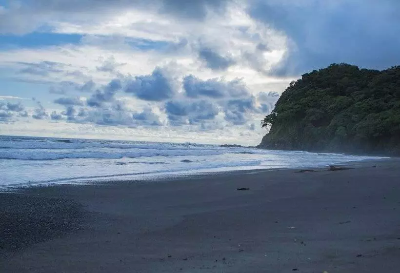 Hotelli Palma De Oro