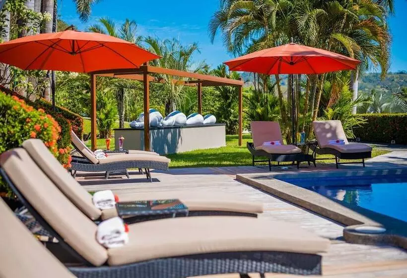 Hotelli Palma De Oro