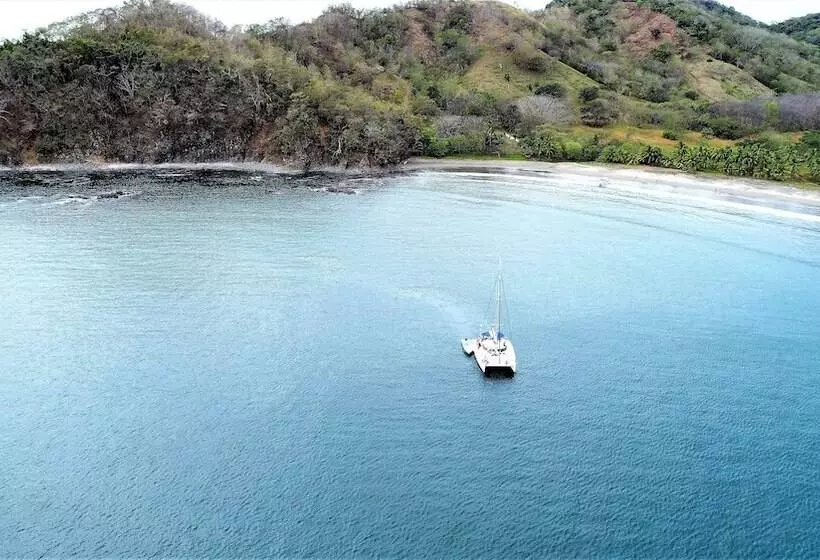 Hotelli Palma De Oro