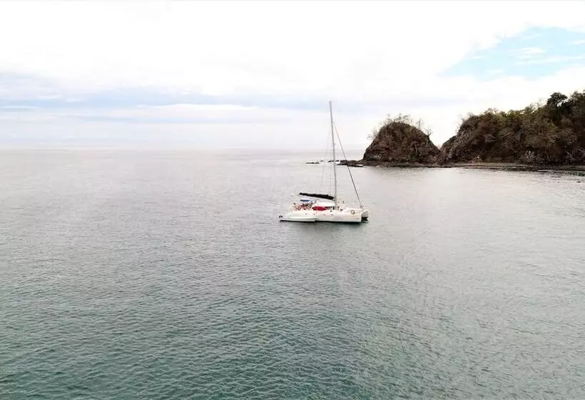 Hotelli Palma De Oro