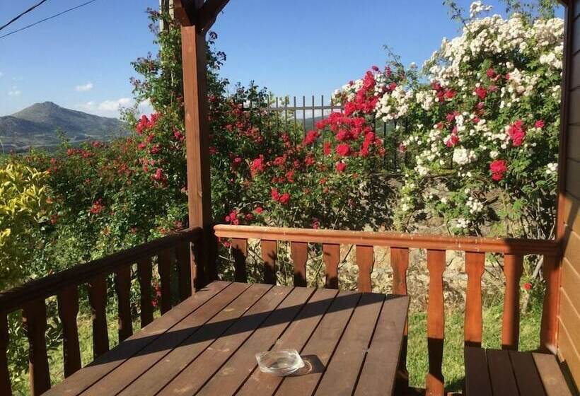 هتل Camping Candelario