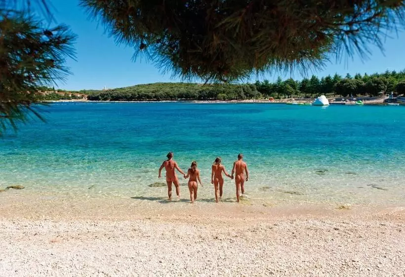 リゾートホテル Maistra Camping Koversada Covered Mobile Homes