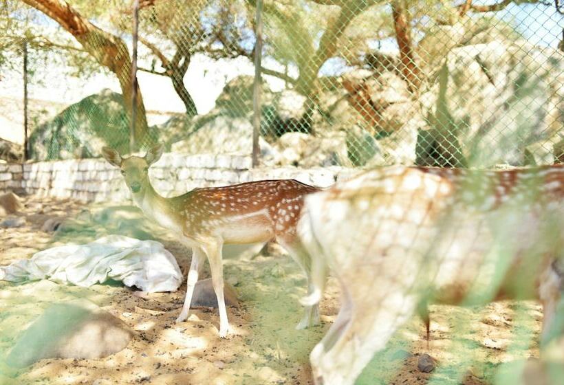 تختخواب و صبحانه Anakato Kiki