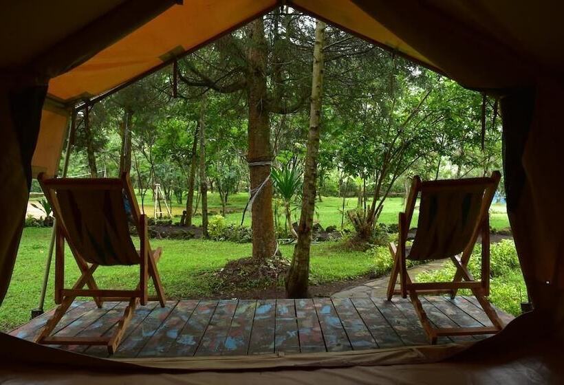 هتل Red Rocks Campsite & Guesthouse