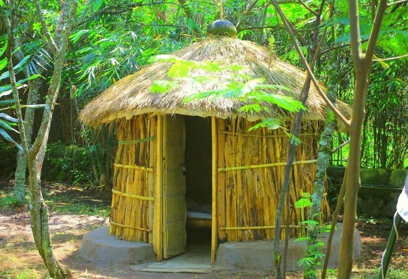 هتل Red Rocks Campsite & Guesthouse