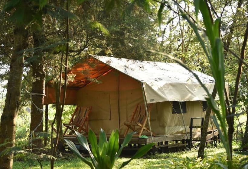 هتل Red Rocks Campsite & Guesthouse