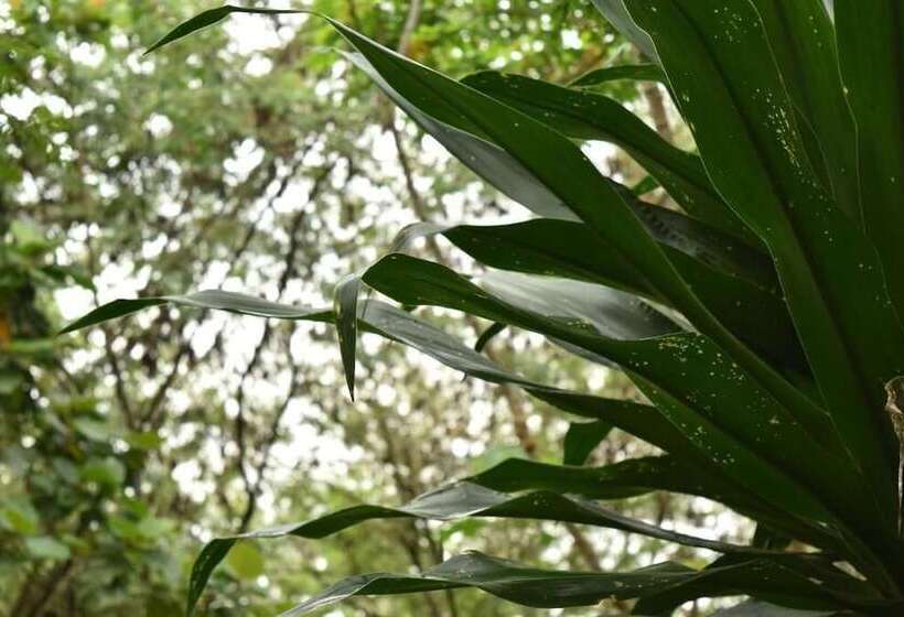 هتل Red Rocks Campsite & Guesthouse