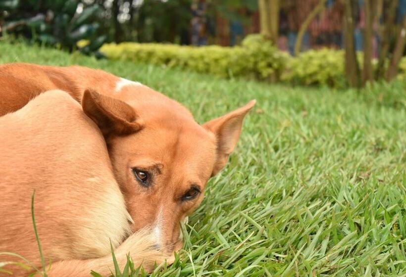 هتل Red Rocks Campsite & Guesthouse