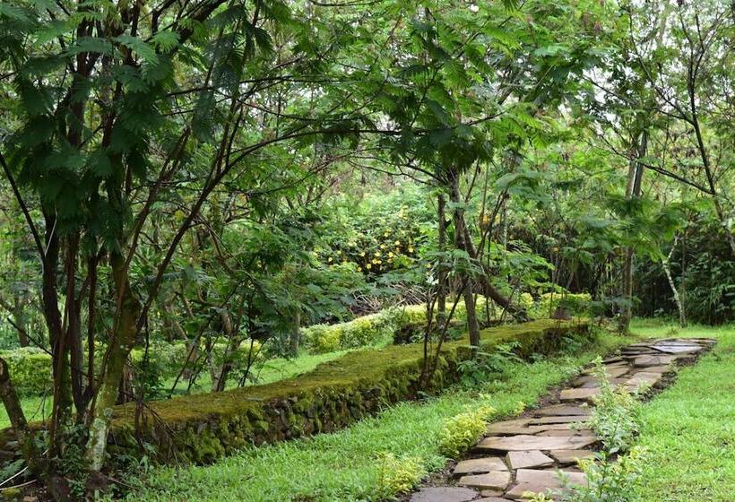 هتل Red Rocks Campsite & Guesthouse