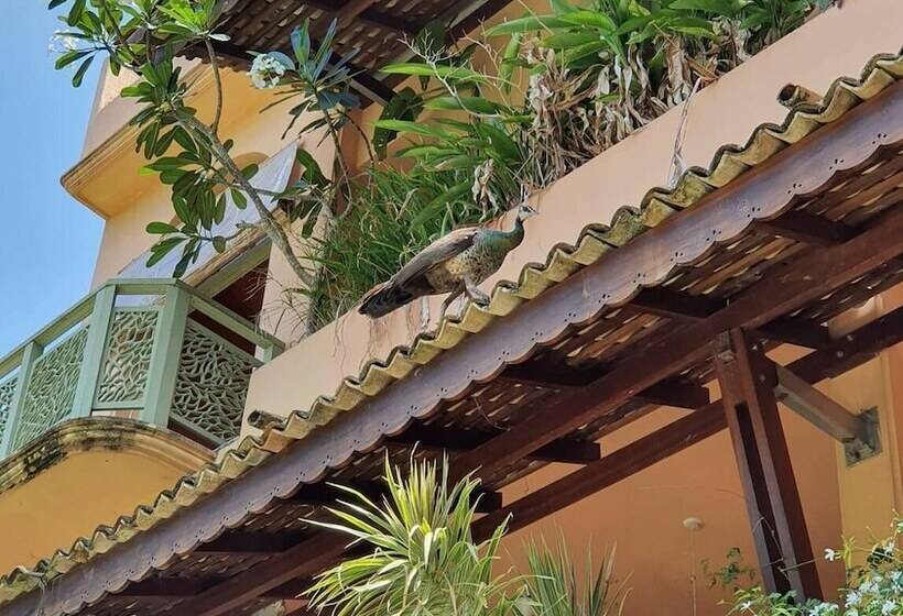 Пансион Casa Maria