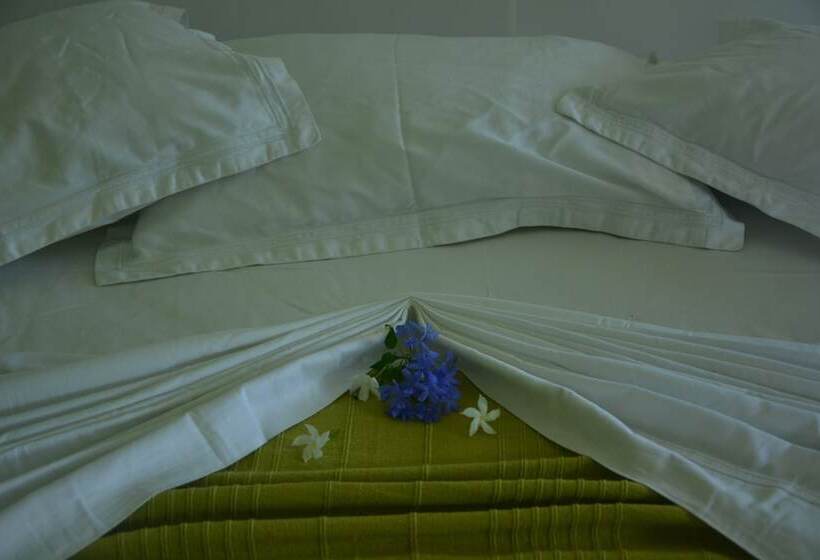 Пансион Casa Maria