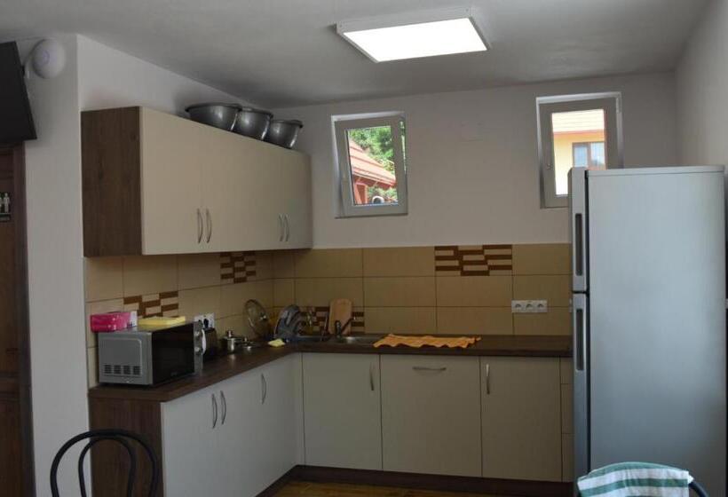 پانسیون Cazare 77