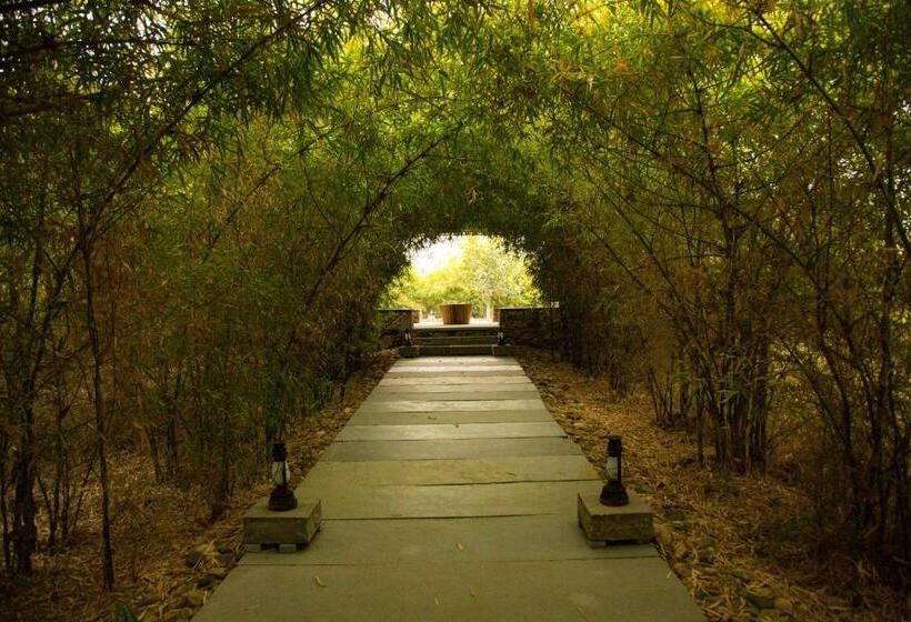 リゾートホテル Bijapur Lodge Jawai