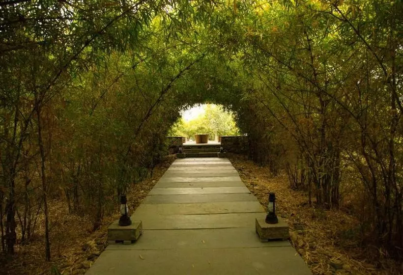 リゾートホテル Bijapur Lodge Jawai